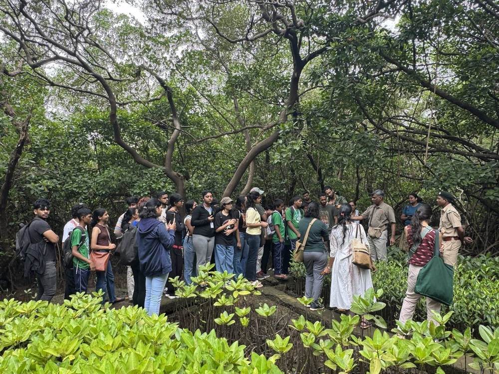 Goa Water Stories Mangroves Exploration, Chorao Island