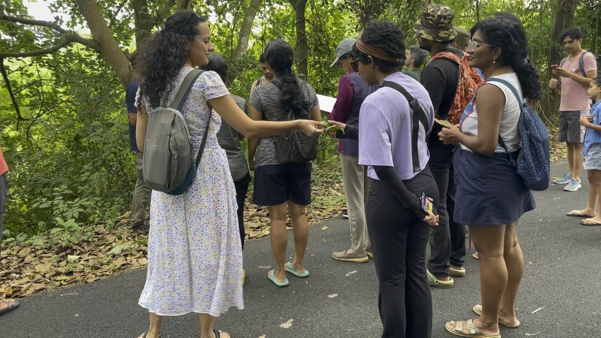 Vriksh Tree Walk, Panjim