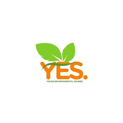 Young Environmental Sounds (YES)